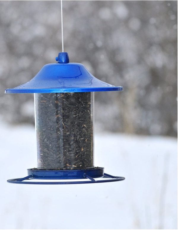 Perky Pet 312B Sparkle Panorama Bird Feeder, Blue, 2 Lb Cheap - Image 3