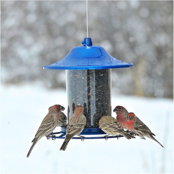 Perky Pet 312B Sparkle Panorama Bird Feeder, Blue, 2 Lb Cheap - Image 4